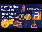How To Find Wallet ID of Ravencoin Core Wallet | RVN Wallet Address