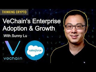 VeChain CEO Sunny Lu interview with Thinking Crypto discusses Walmart, Sam's Club, Givenchy, Salesforce, Coinbase, DNV, PWC, Carbon Neutrality, & more