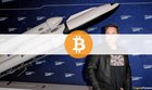 Elon Musk Owns $5 Billion in Bitcoin Collectively, Claims Anthony Scaramucci