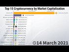 Top 15 Cryptocurrency by Market Capitalization - (2013/2021)