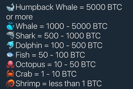 Bitcoin Whale Count Shrinks- Speculators Assume Trickle Distribution or Possible Address Reorganizations
