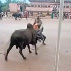 Me during this bull run