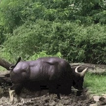 The bull need to get out of the FUD mud...