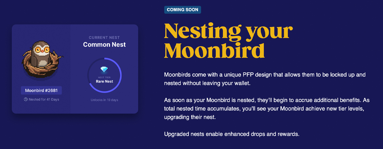 Moonbirds NFT Sales Skyrocket Capturing $364 Million in 5 Days