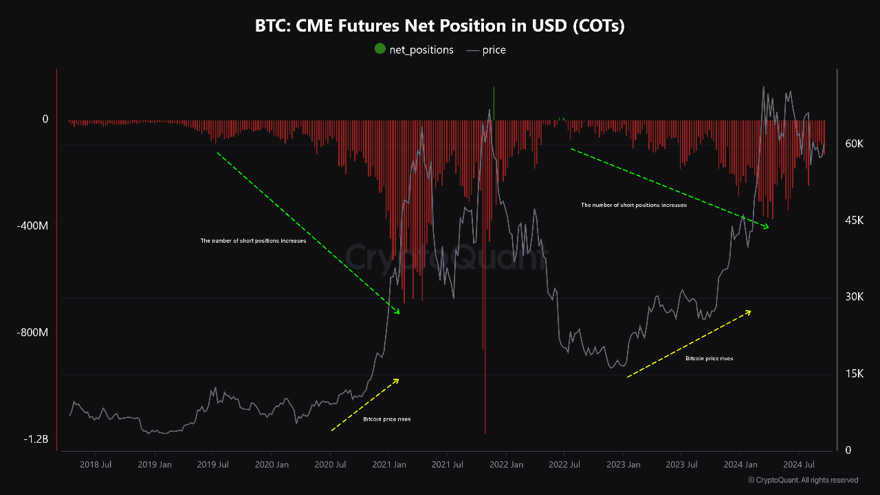 Bitcoin CME futures net position.