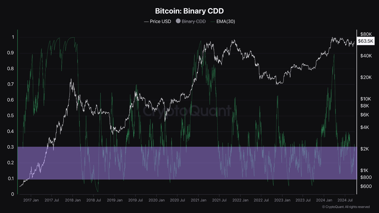 Bitcoin Binary CDD.