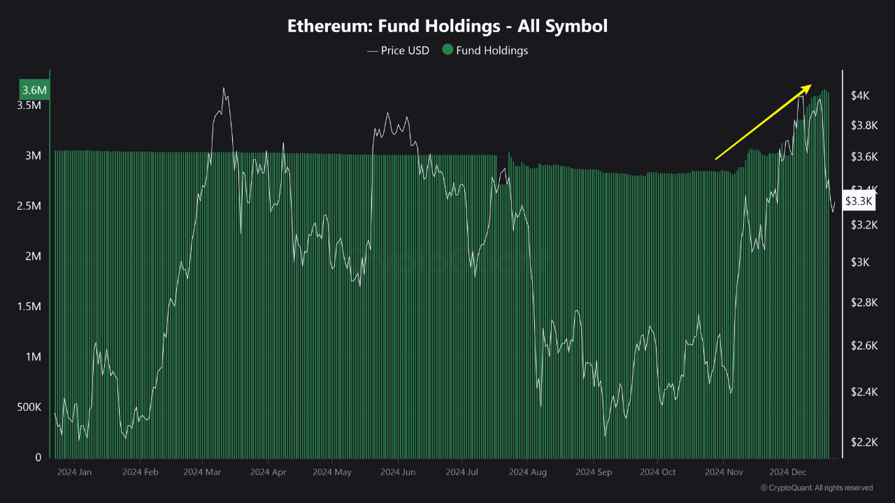 Ethereum fund holdings