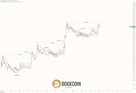 Dogecoin 3