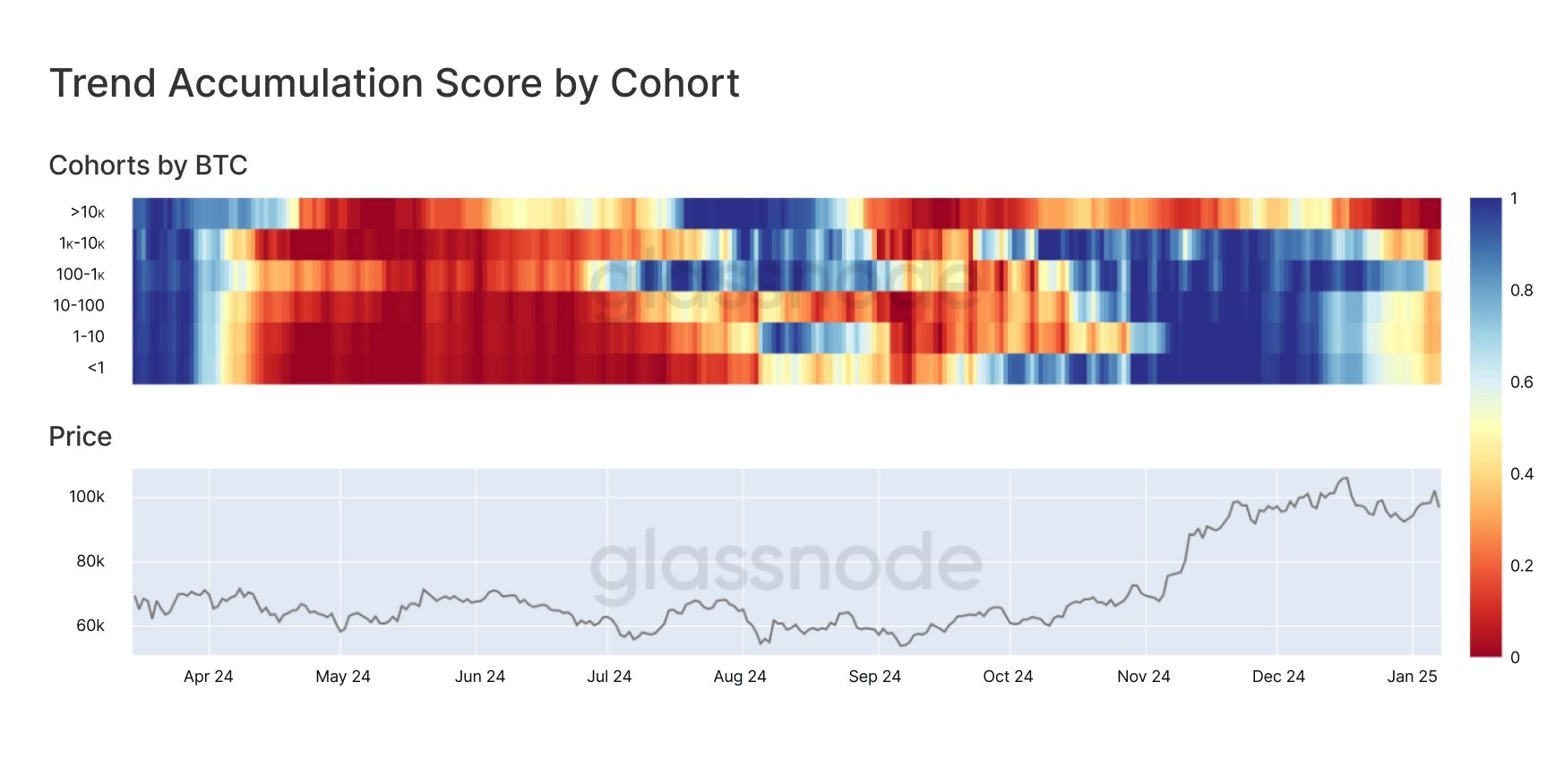 Bitcoin Cohorts