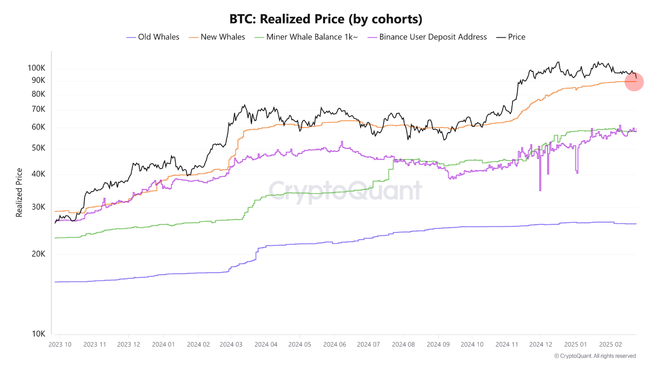 Bitcoin realized price by cohorts.