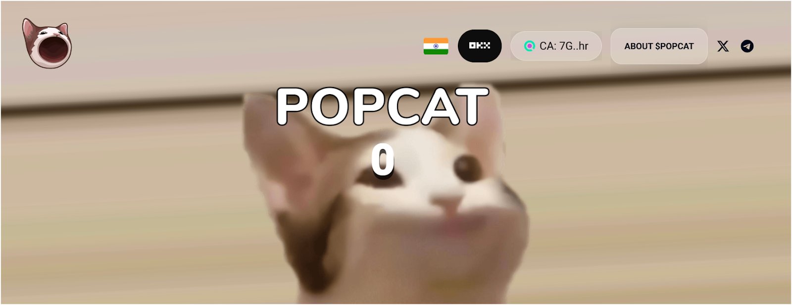 popcat-best-cat-theme-meme-coin