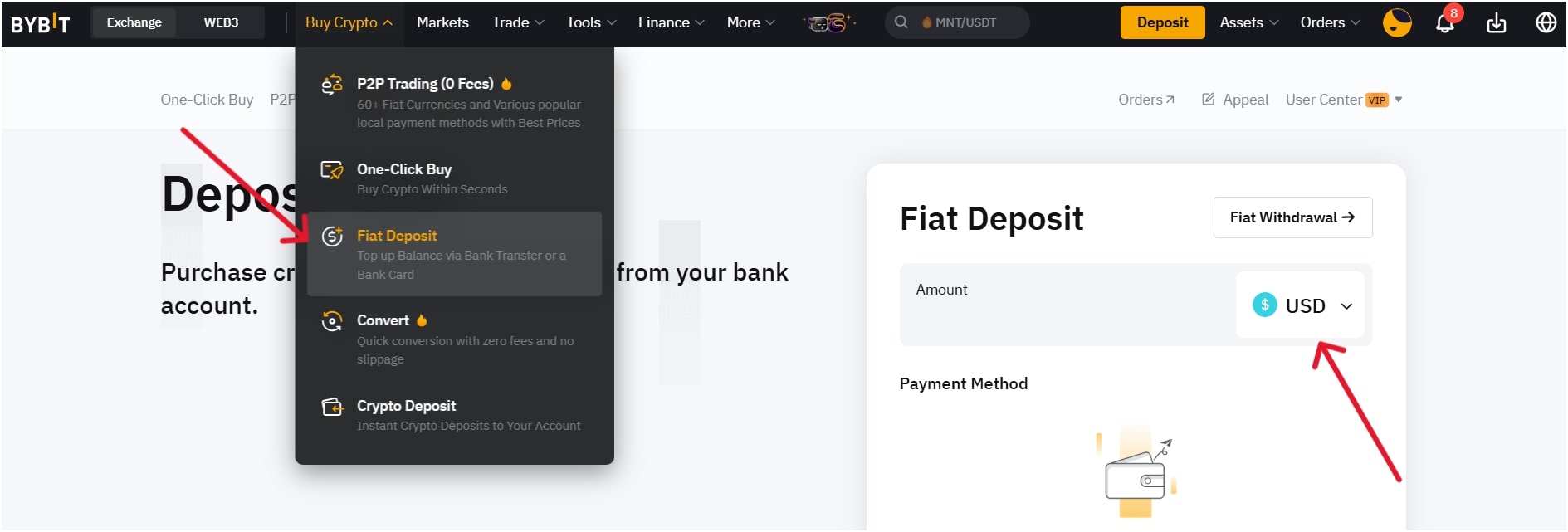 fiat-currency-deposit-bybit