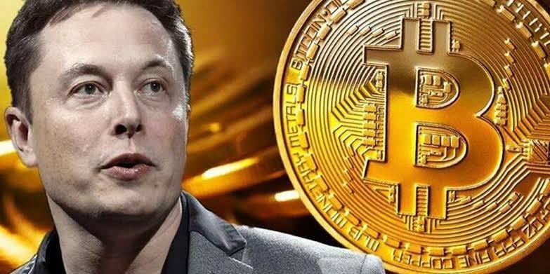 crypto-bull-run-phase-3-ignites-as-elon-musk-cuts-political-ties-are-you-ready