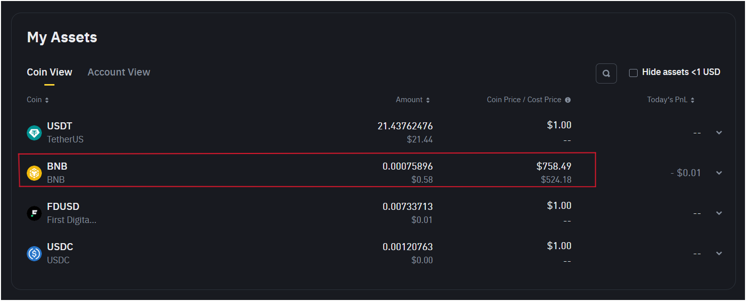 holding-bnb-token