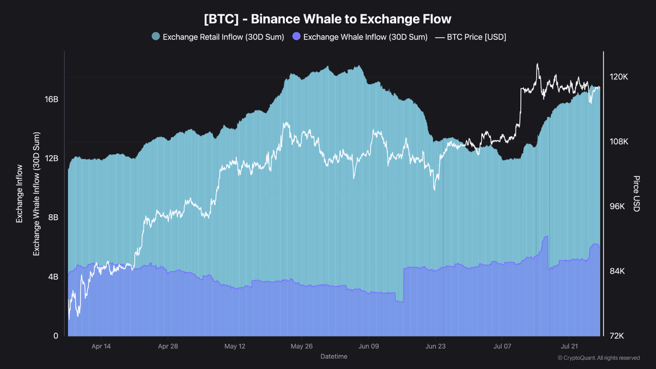 Bitcoin whale to exchange flow on Binance.