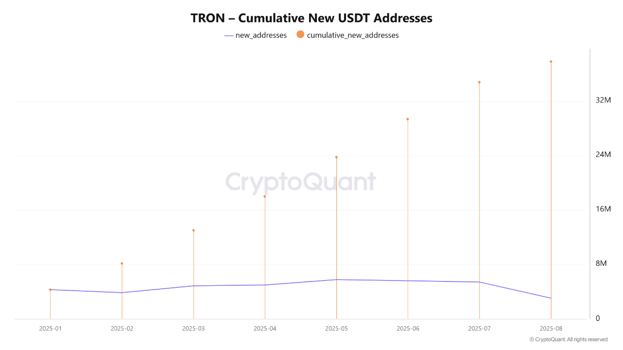 TRON new USDT addresses.