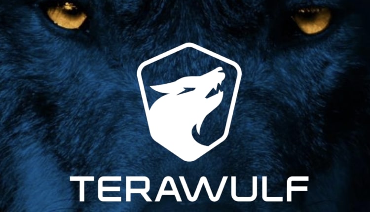 google-secures-8-stake-in-bitcoin-miner-terawulf-in-3-7b-ai-hosting-mega-deal