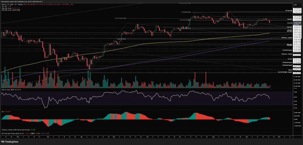 Bitcoin daily chart
