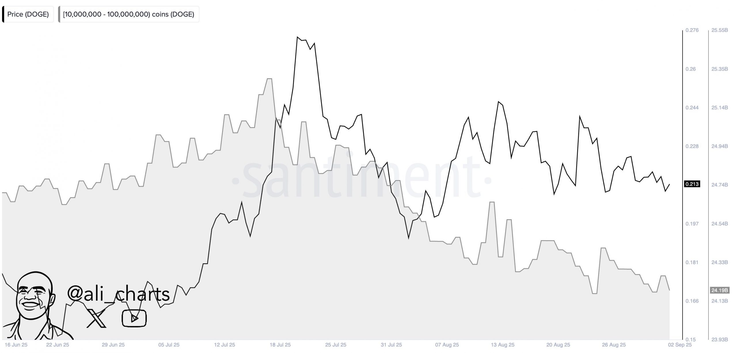 Dogecoin Whales