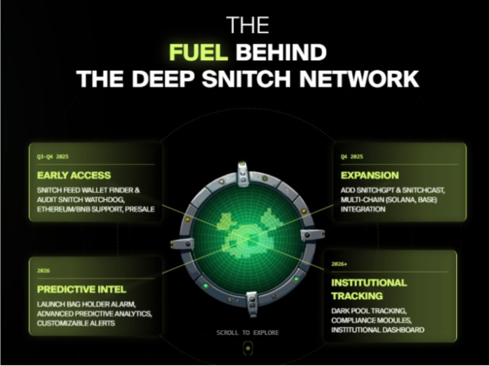 Deep Snitch network’s future