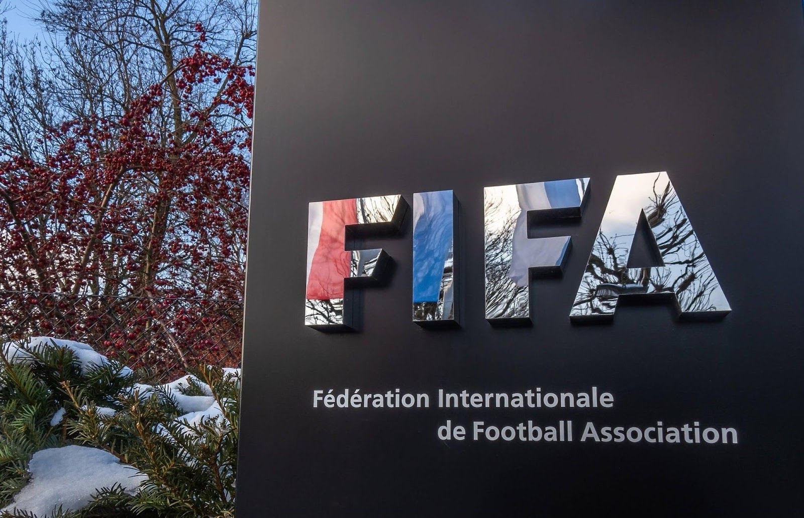 fifa-board